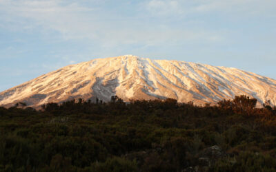 News at a Glance – Kenya