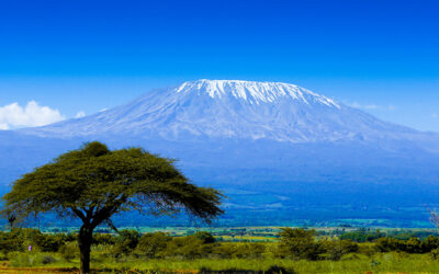 Mount Kilimanjaro ascent for charity, by AGS Movers Southern Africa’s Chairman